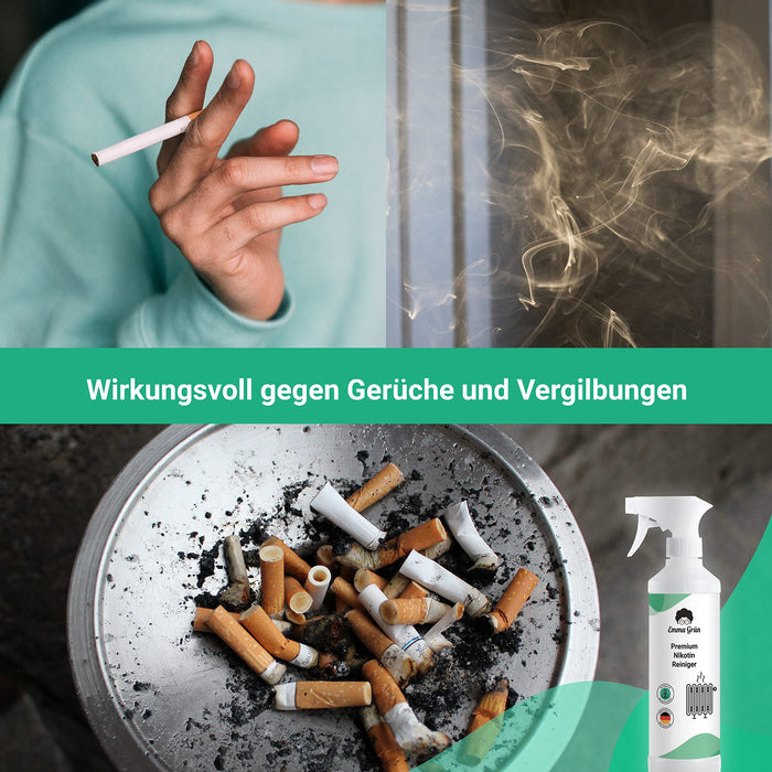 7Liter Nikotin Reiniger in Niedersachsen - Dassel