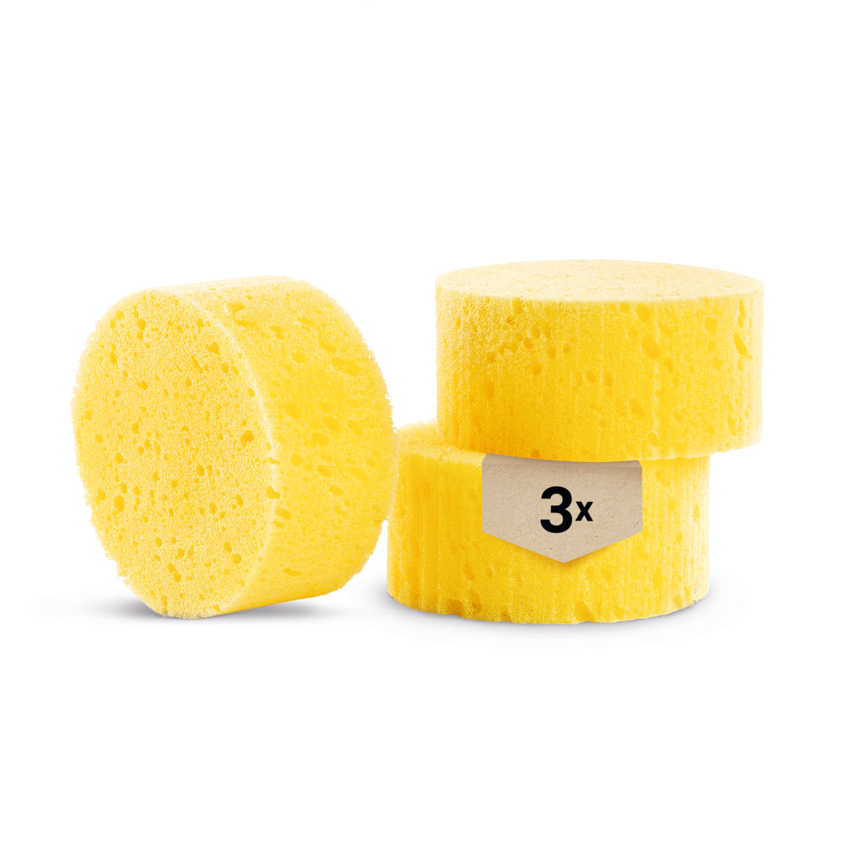 5 Pcs Sponge Scrubber Horse Accessories Large Sponges Cleaning